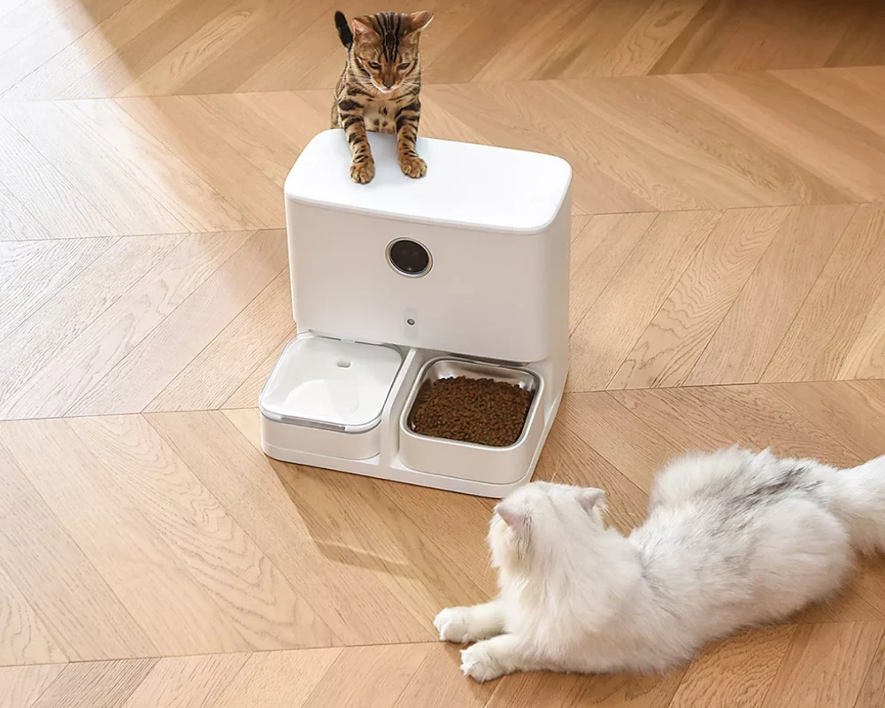 dog feeder automatic